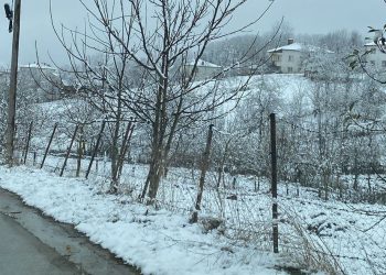 Samsun’un 3 ilçesinde kar yağışı