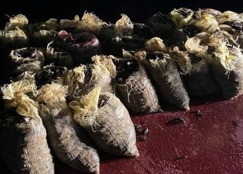 Sarıyer’de 4 buçuk ton kaçak midye ele geçirildi