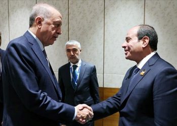 SON DAKİKA HABERİ: Cumhurbaşkanı Erdoğan, Mısır Cumhurbaşkanı Sisi ile görüştü