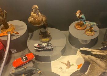 Tabiatın akıl sistematiğini anlatan müze ziyaretçilerini ağırlıyor