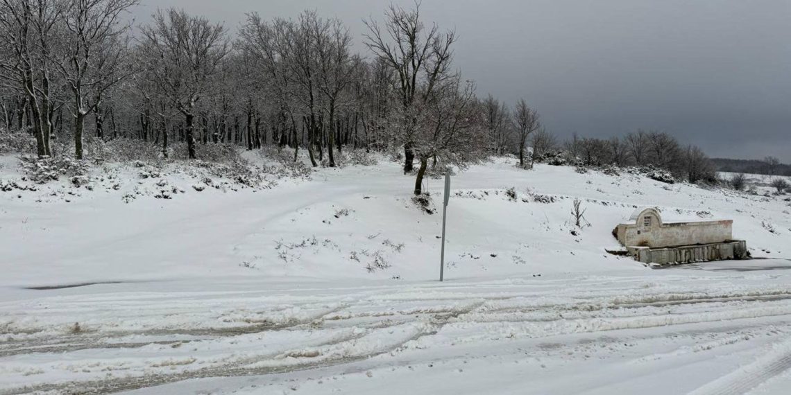 Tekirdağ’da kar yağışı: Ganos Dağı ve etekleri beyaza büründü