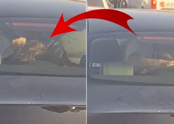 TEM’de dehşet anları: Eşini engelli çocuğunun yanında dövdü