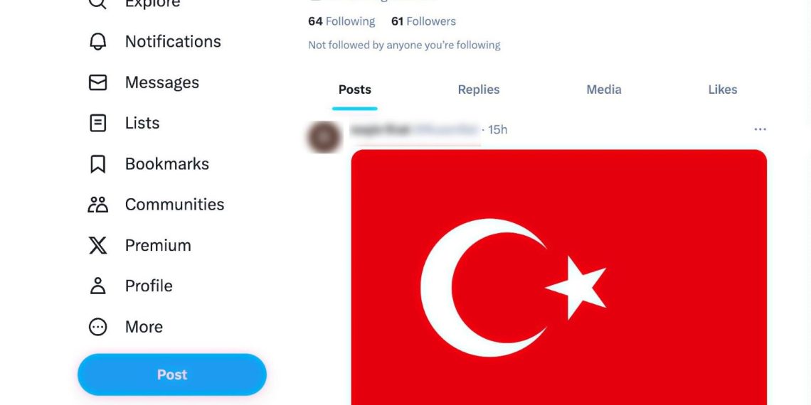 Terör propagandası yapan bayan, 1 ay boyunca Türk bayrağı paylaşacak