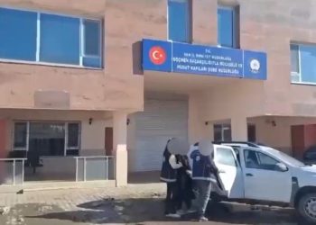 Van’da göçmen kaçakçılığına 9 tutuklama