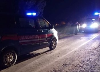 Yediği mantardan zehirlenen akrabasını hastaneye götürürken kaza yaptı