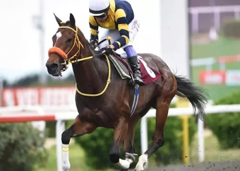 13.5 milyon lira ödüllü Gazi Koşusu yarın yapılacak