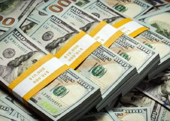 Alman devinden TCMB için ‘faiz indirimi’ tahmini