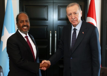 Cumhurbaşkanı Erdoğan’dan Somali Cumhurbaşkanı ile görüşme