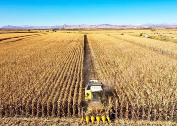 Tarımda üretici enflasyonu yıllık bazda 31.09 arttı