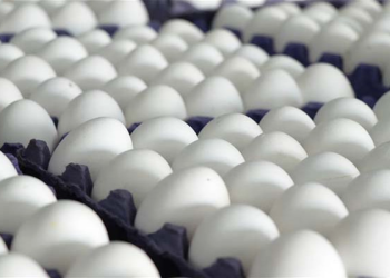 ‘Kuş gribi’ fırsatçılığı: Yumurta fiyatlarına yüzde 45 zam!