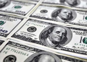 Merkez döviz toplamayı sürdürüyor