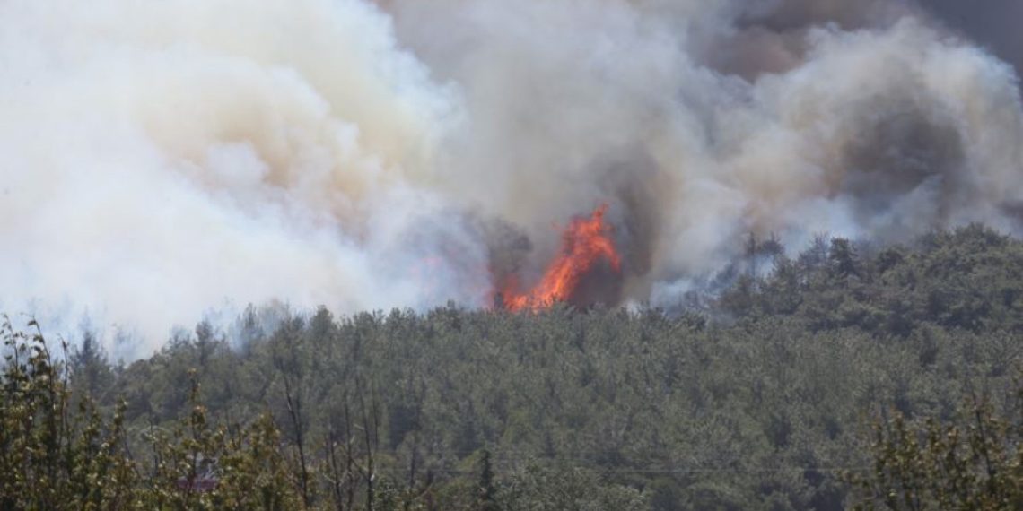 Çanakkale’de orman yangını! Tahliyeler başladı