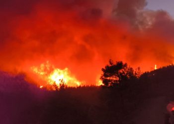 Hatay’da da orman yangını çıktı