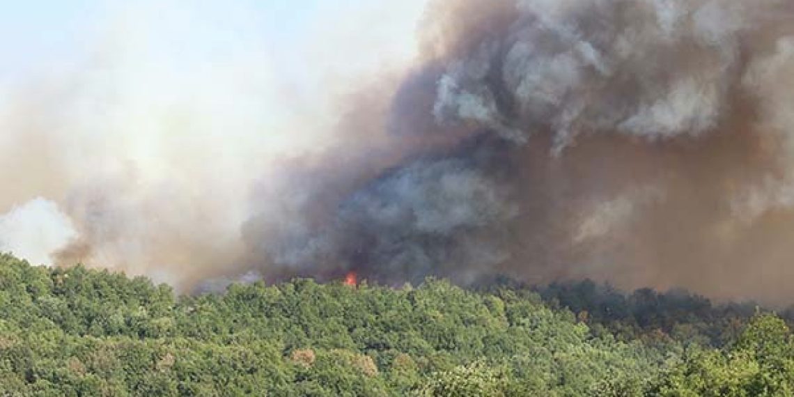 Karamürsel’de alevlerle mücadele sürüyor