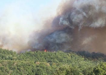 Karamürsel’de alevlerle mücadele sürüyor
